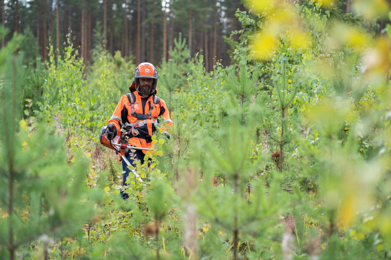 Metka-laki astui voimaan 1.1.2024 – Metsätalouden tukien haku avautuu maaliskuun alussa