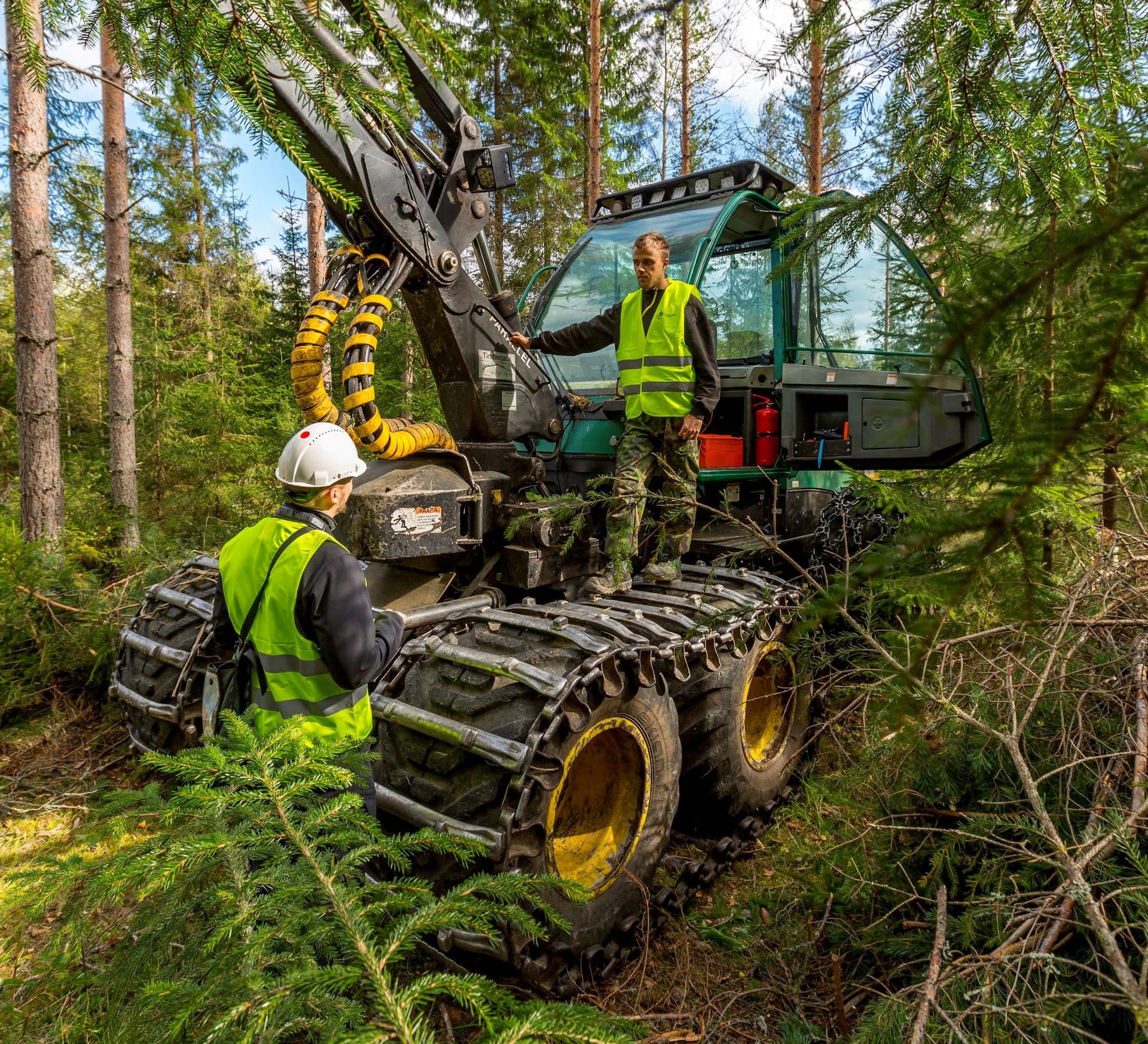 Metsäasiantuntijasi valvoo puunkorjuun