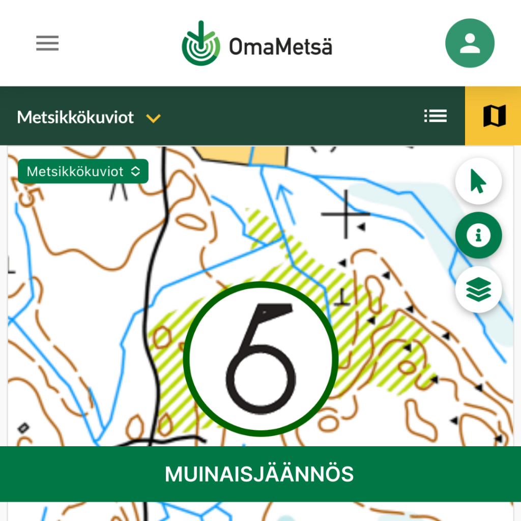 Muinaisjäännös