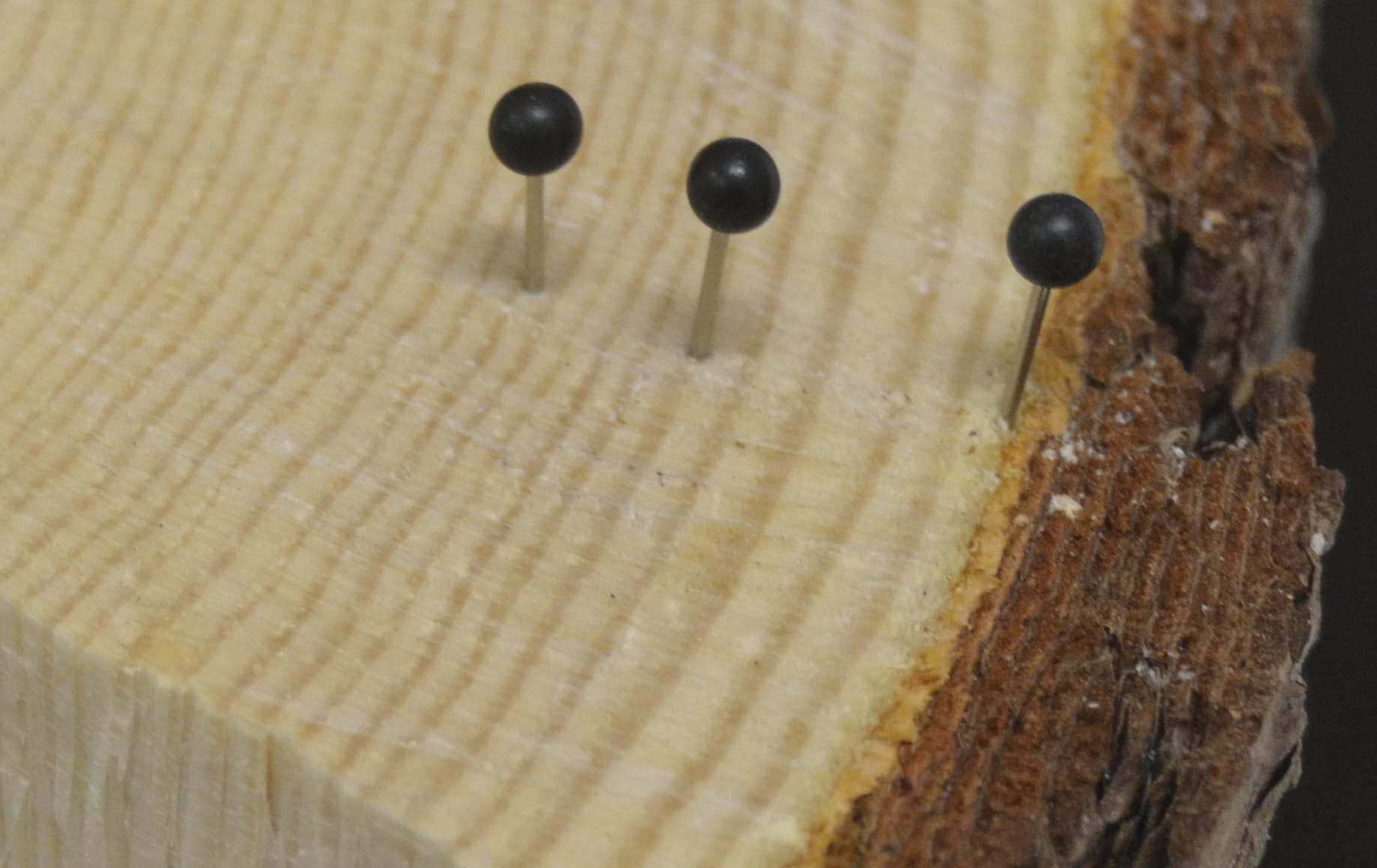 Vaikuttaako lannoitus?