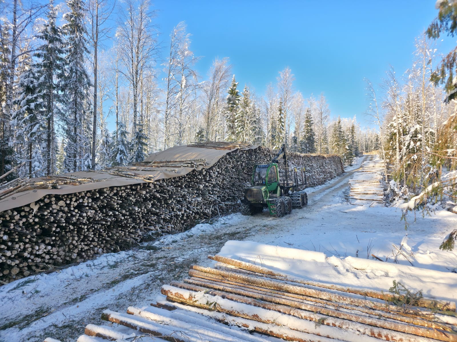 Puutavaran varastopaikka.