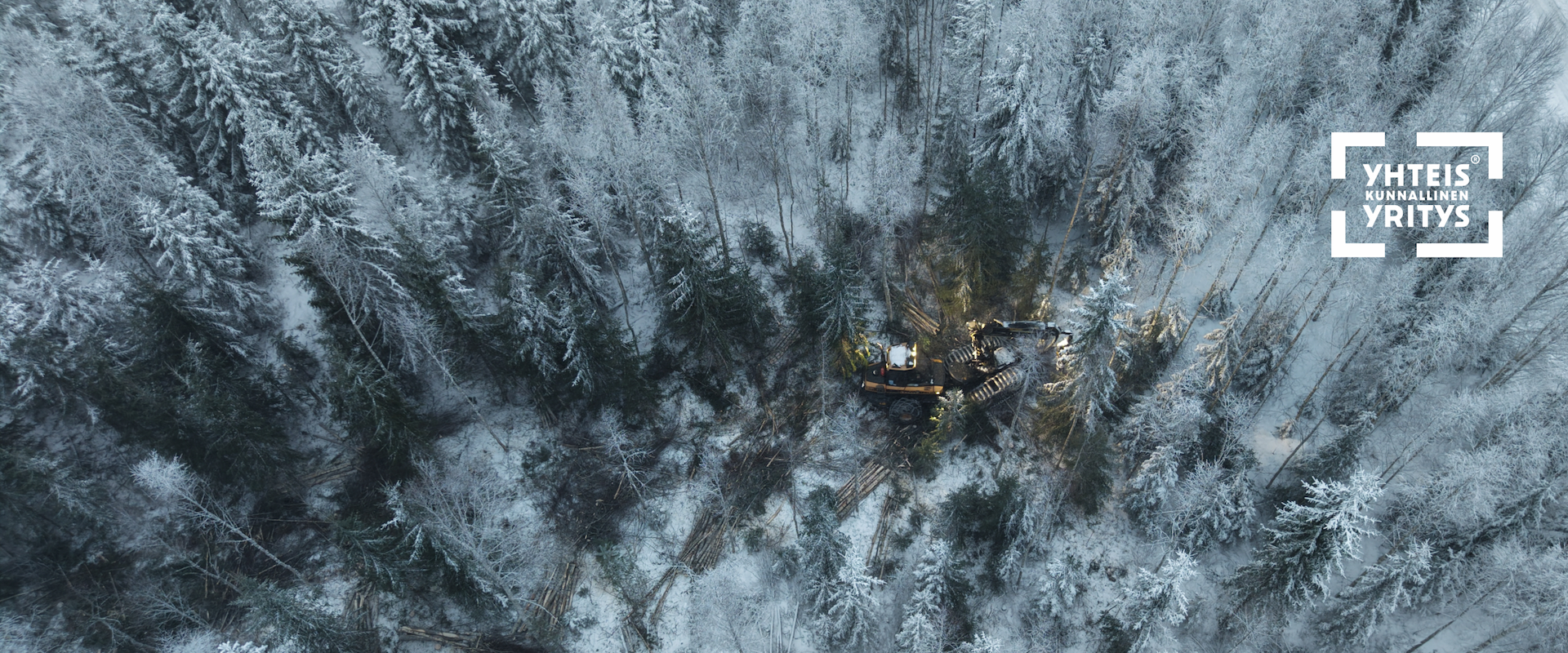 Oma metsäasiantuntijasi tuntee metsäsi