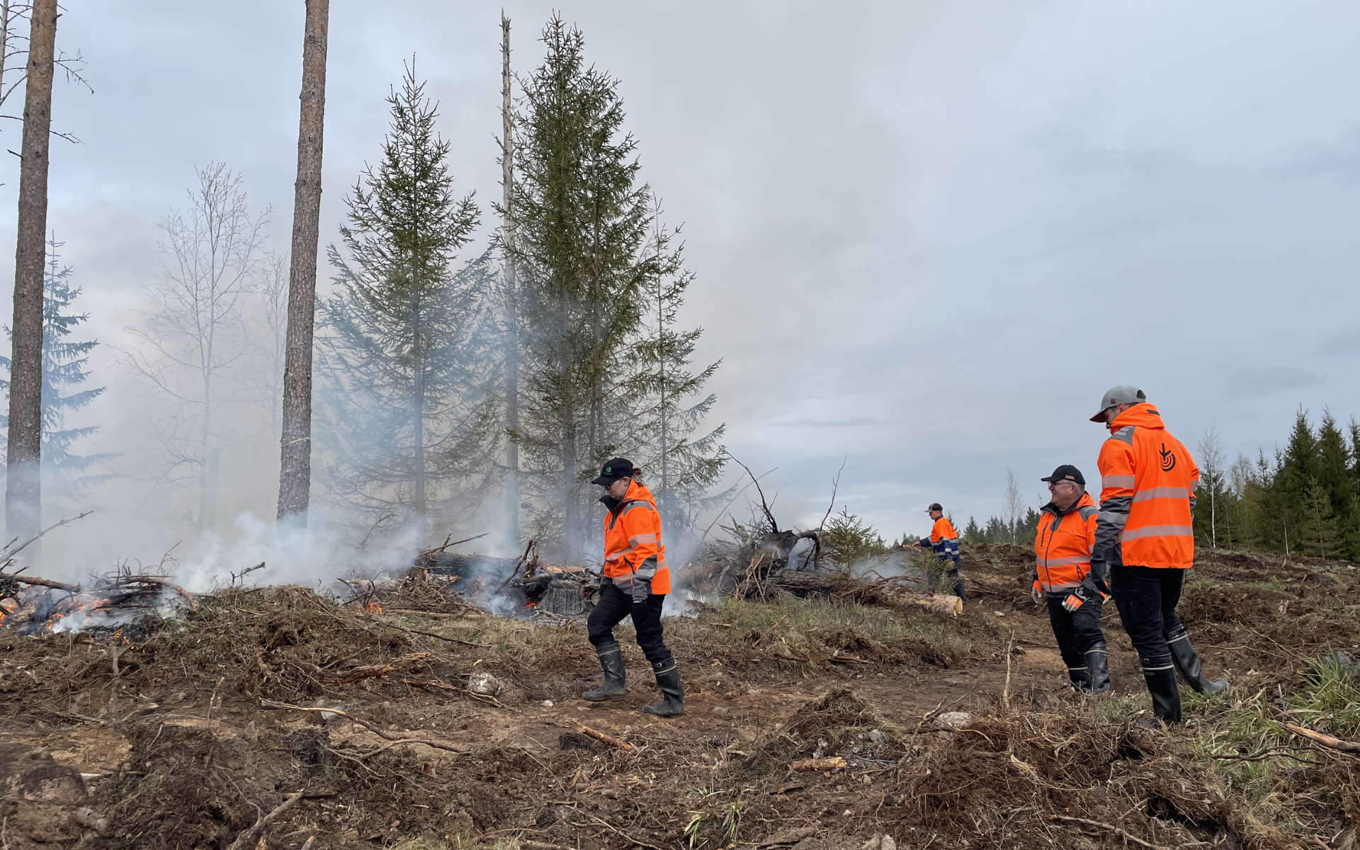 säästöpuuryhmän kulotus louna yhteismetsän alueella